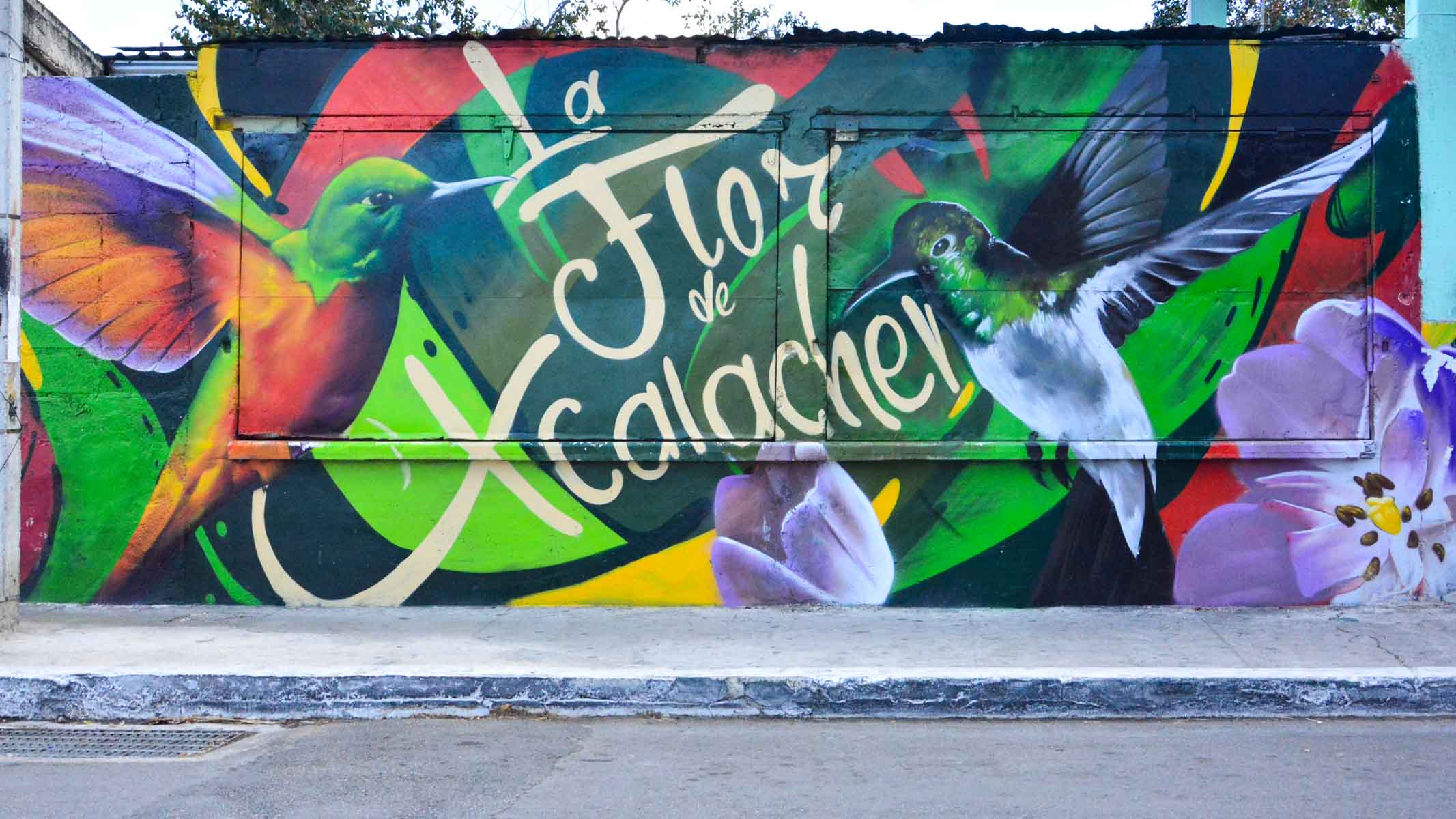 Mural Grafiti "La flor de Xcalachen