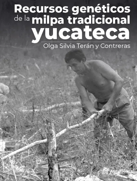 Recursos genéticos de la milpa tradicional yucateca | Olga Silvia Terán y Contreras